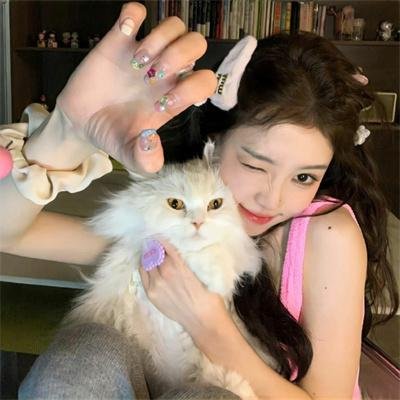 作家的谎言：笔忠诱罪国语